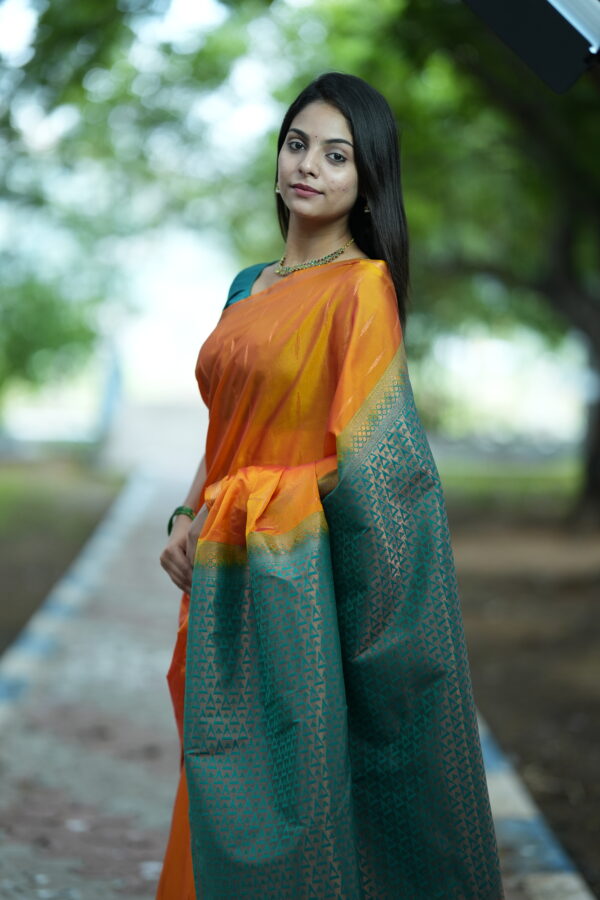 Most Popular Orange Raindrop Vegan Silk - Image 2