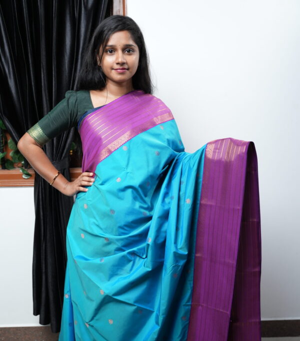 Most Wanted Impressive Kanchi Silk